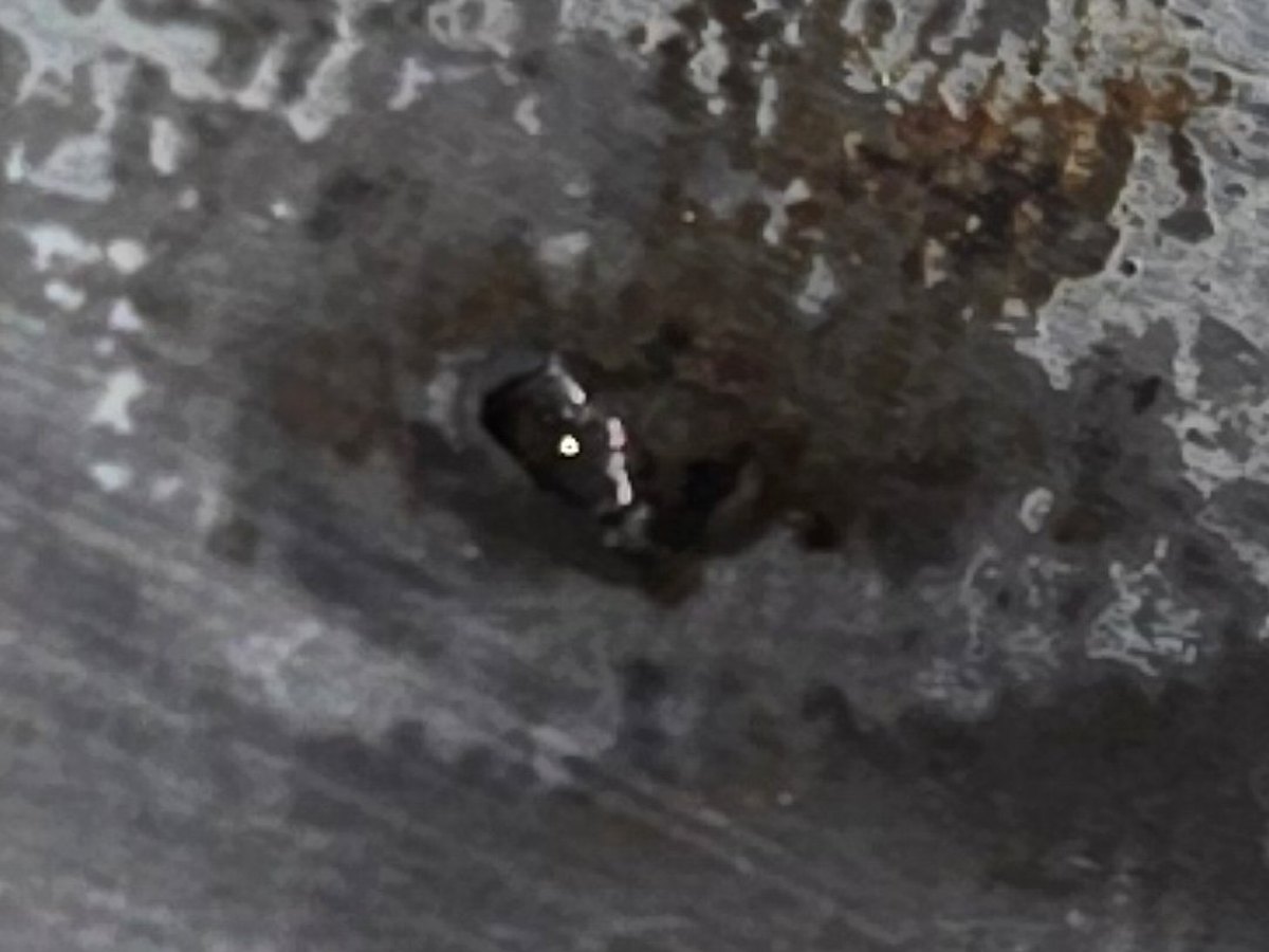 La perforation vue de près, avec son produit de corrosion. Un cratère isolé de quelques millimètres, pas une usure générale du tube.
