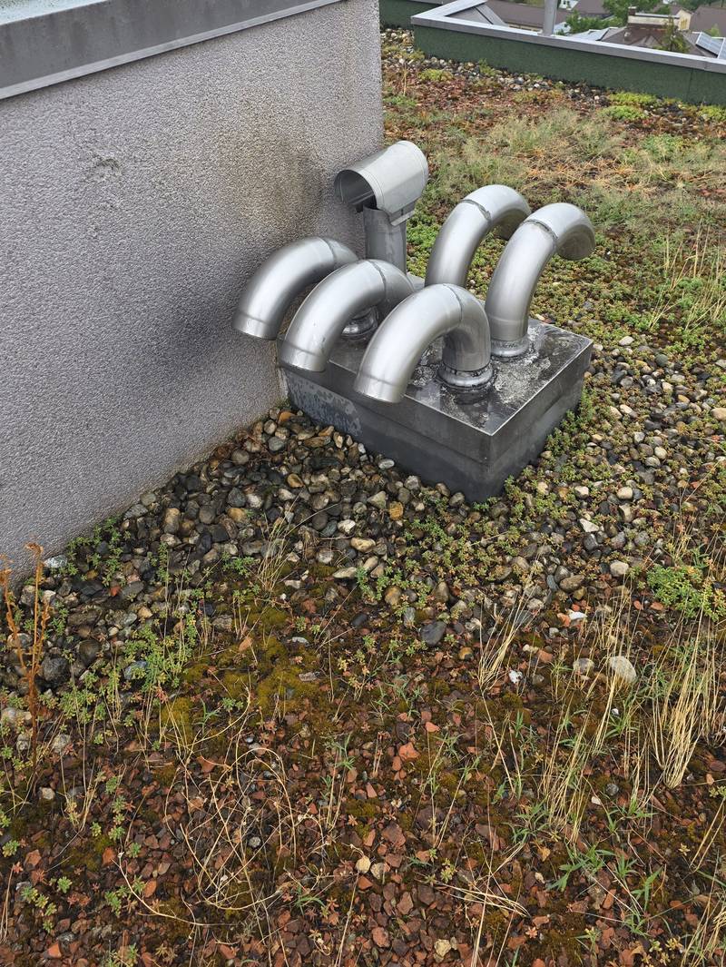 Sorties de ventilation en inox sur une toiture végétalisée